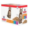 Hill's Hillu0027s Science Plan Kattenvoer Adult Multipack Classic Selection 1 Hill's Hillu0027s Science Plan Kattenvoer Adult Multipack Classic Selection -Dierenbenodigdheden Winkel 954793