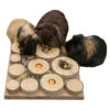 Rosewood Maze A Log Treat Challenge -Dierenbenodigdheden Winkel 966841