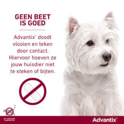 Advantix Spot On 250 Anti Vlooien En Teken Druppels Hond 10 - 25 Kg -Dierenbenodigdheden Winkel 968024 4