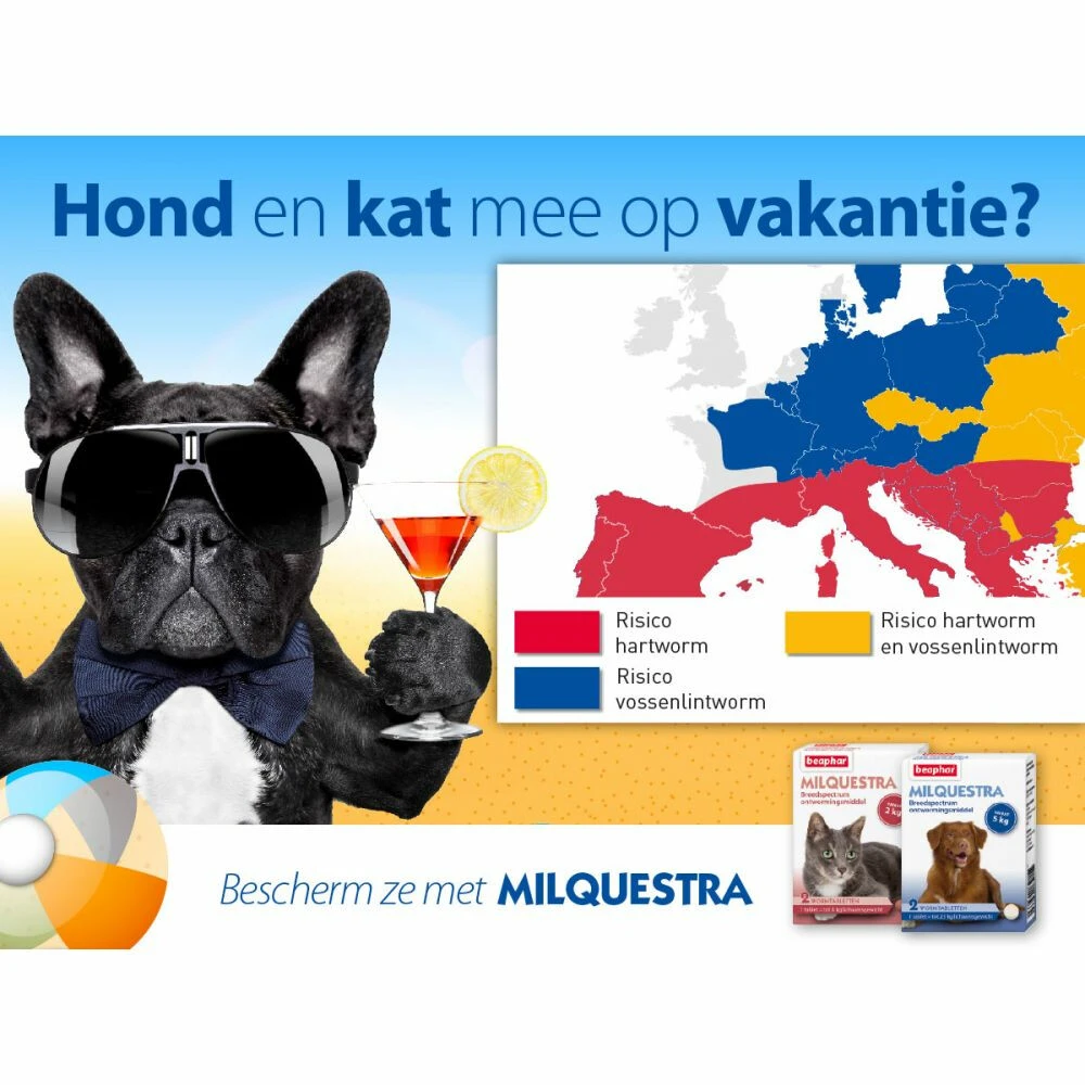 Beaphar Milquestra Ontworming Tabletten Hond 5-50kg 4 Beaphar Milquestra Ontworming Tabletten Hond 5-50kg - Afbeelding 2