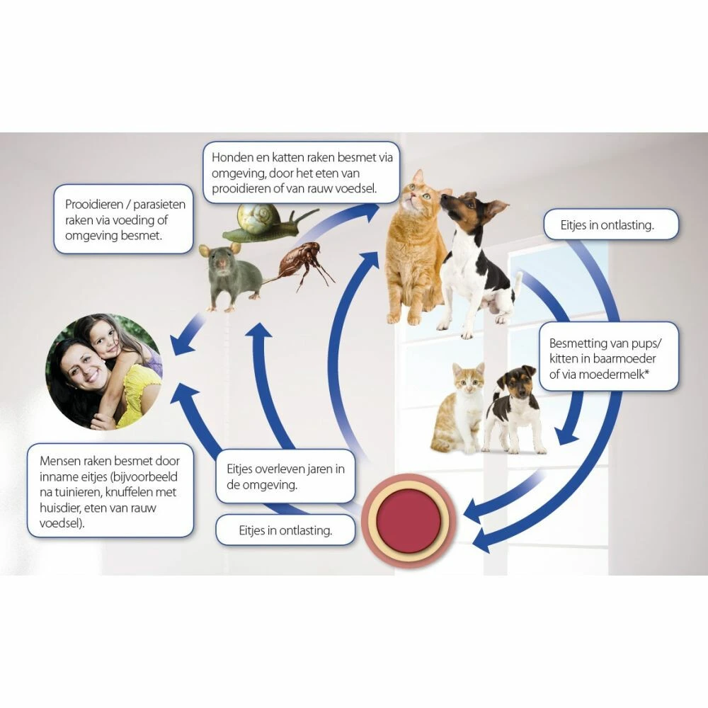 Beaphar Milquestra Ontworming Tabletten Hond 5-50kg 6 Beaphar Milquestra Ontworming Tabletten Hond 5-50kg - Afbeelding 4