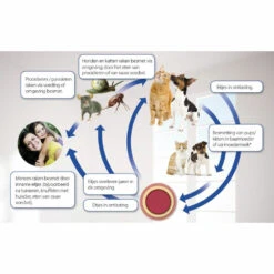 Beaphar Milquestra Ontworming Tabletten Hond 5 - 75kg -Dierenbenodigdheden Winkel 975810 4