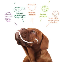 12x Yarrah Bio Hondenvoer Chunks Kip -Dierenbenodigdheden Winkel 979324 4