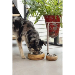 Designed By Lotte Eet- En Drinkbak Mandira -Dierenbenodigdheden Winkel 979880 4