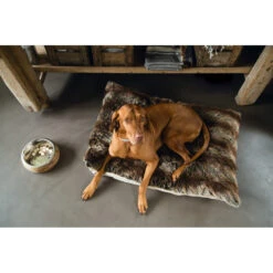 Designed By Lotte Eet- En Drinkbak Mandira -Dierenbenodigdheden Winkel 979880 5