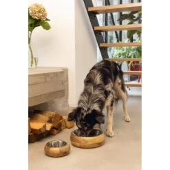 Designed By Lotte Eet- En Drinkbak Mandira -Dierenbenodigdheden Winkel 979880 6