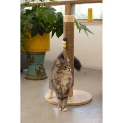 Designed By Lotte Houten Krabpaal Sinora -Dierenbenodigdheden Winkel 979882 3