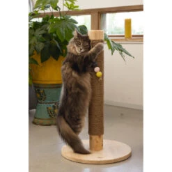 Designed By Lotte Houten Krabpaal Sinora -Dierenbenodigdheden Winkel 979882 4