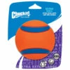 Chuckit! Chuckit Ultra Ball ø 10 Cm -Dierenbenodigdheden Winkel 983528
