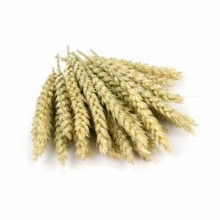 Dierenbenodigdheden Winkel -Dierenbenodigdheden Winkel 983908 2