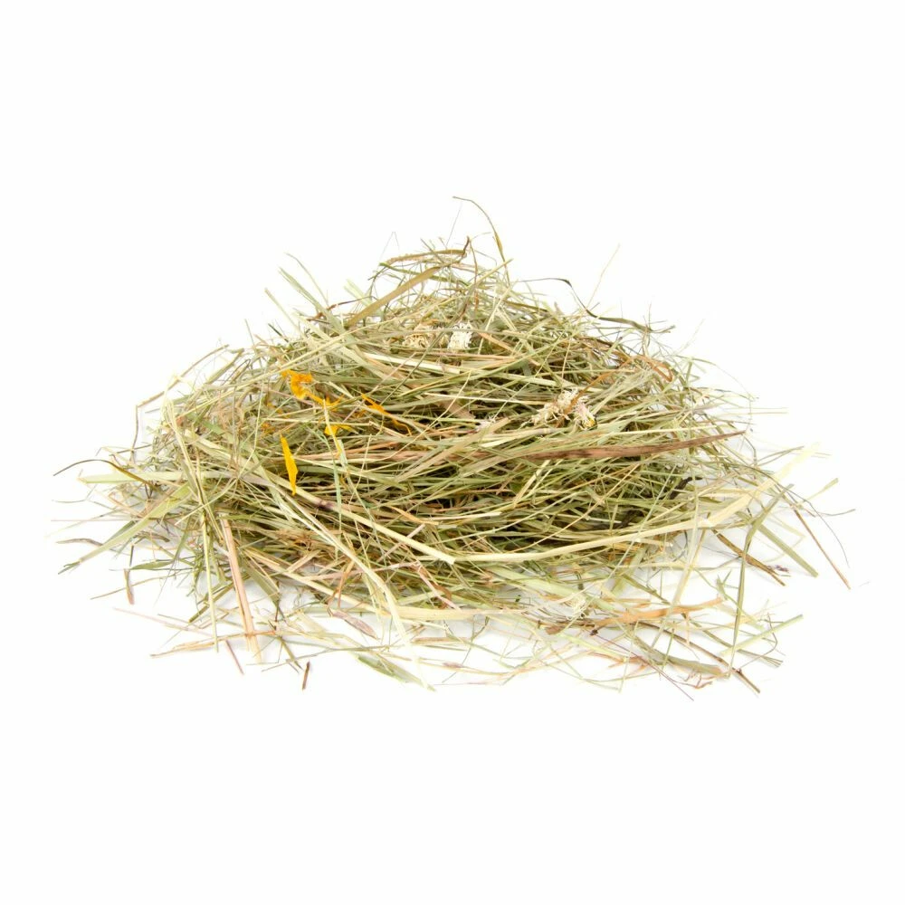 6x Puik Kruidenhooi Madelief - Paardenbloem 5 6x Puik Kruidenhooi Madelief - Paardenbloem - Afbeelding 3