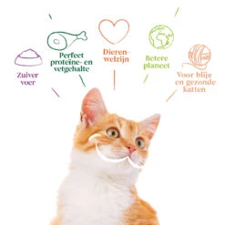 12x Yarrah Bio Kattenvoer Chunks Kip - Kalkoen -Dierenbenodigdheden Winkel 991877 4