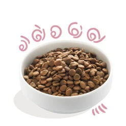 Edgard & Cooper Hondenvoer Puppy Scharrelkip - Scharreleend -Dierenbenodigdheden Winkel 993012 3