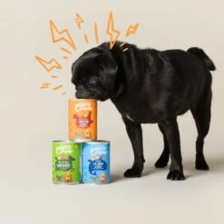 6x Edgard & Cooper Blik Vers Vlees Senior Hondenvoer Kip - Zalm -Dierenbenodigdheden Winkel 993029 3