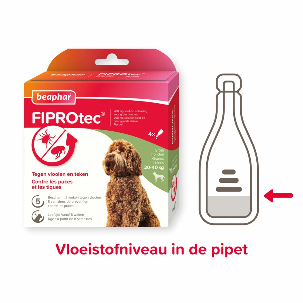 Beaphar Fiprotec Anti Vlooien En Teken Druppels Hond 20 - 40 Kg 4 Beaphar Fiprotec Anti Vlooien En Teken Druppels Hond 20 - 40 Kg - Afbeelding 2